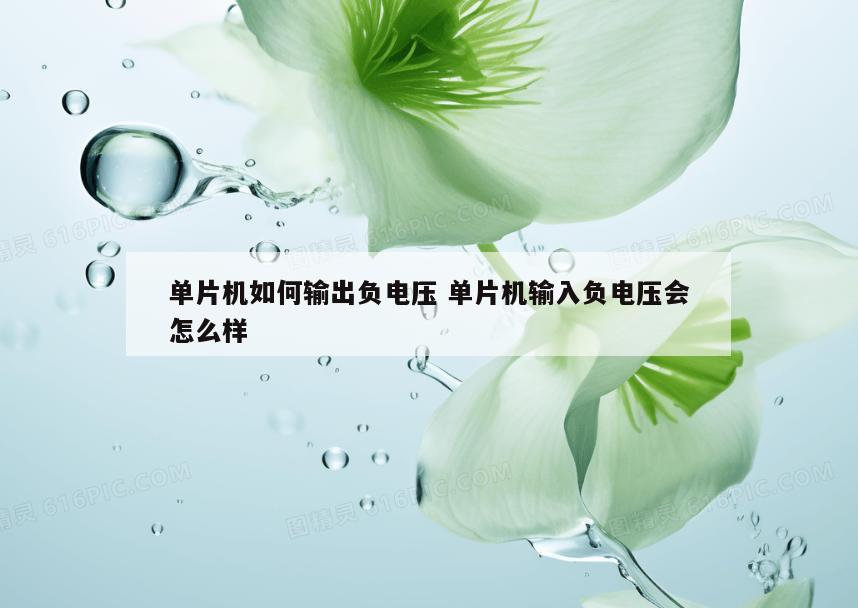 单片机如何输出负电压 单片机输入负电压会怎么样