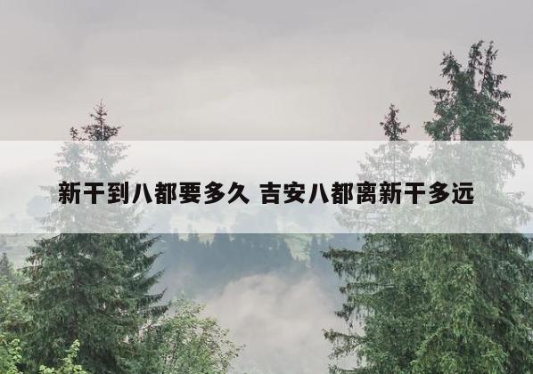 新干到八都要多久 吉安八都离新干多远