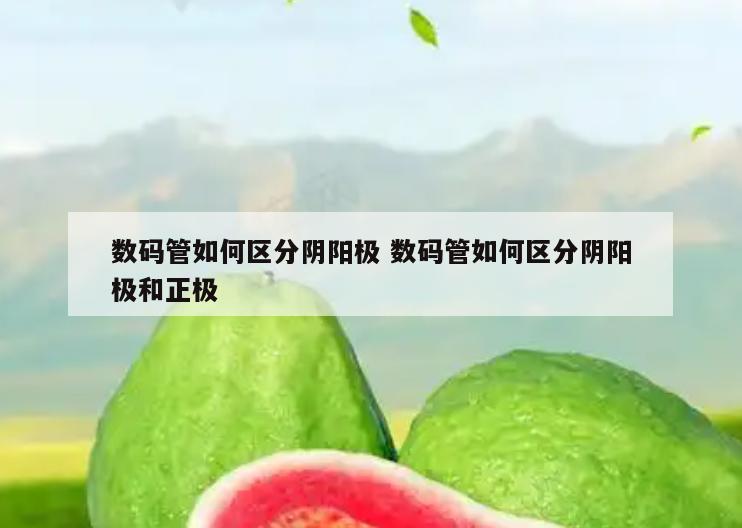 数码管如何区分阴阳极 数码管如何区分阴阳极和正极