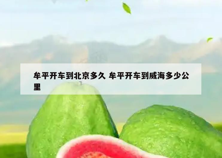牟平开车到北京多久 牟平开车到威海多少公里