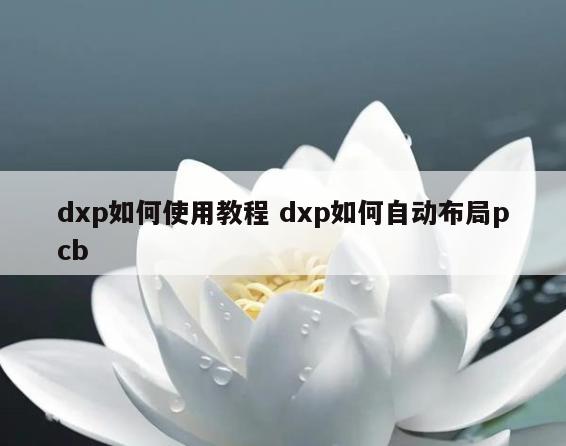 dxp如何使用教程 dxp如何自动布局pcb