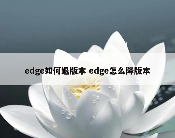 edge如何退版本 edge怎么降版本