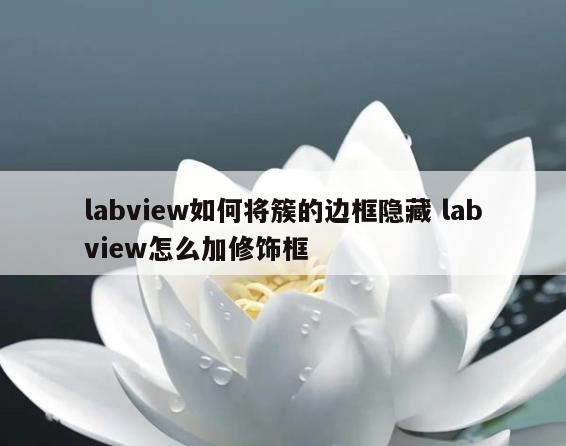 labview如何将簇的边框隐藏 labview怎么加修饰框