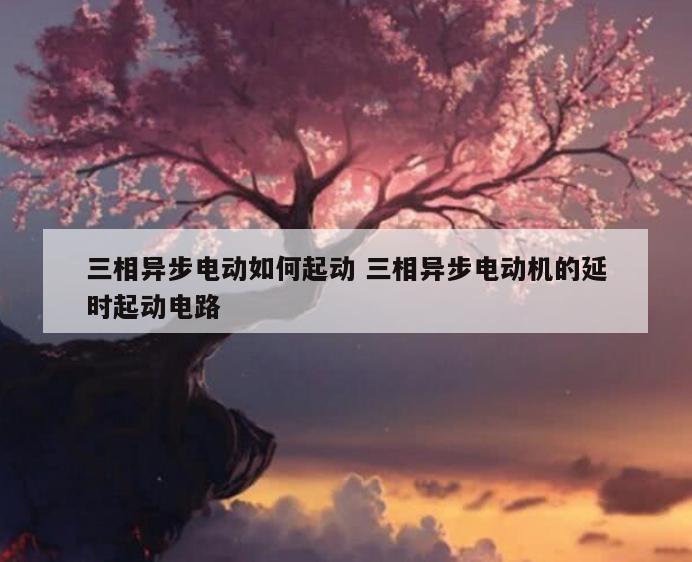 三相异步电动如何起动 三相异步电动机的延时起动电路