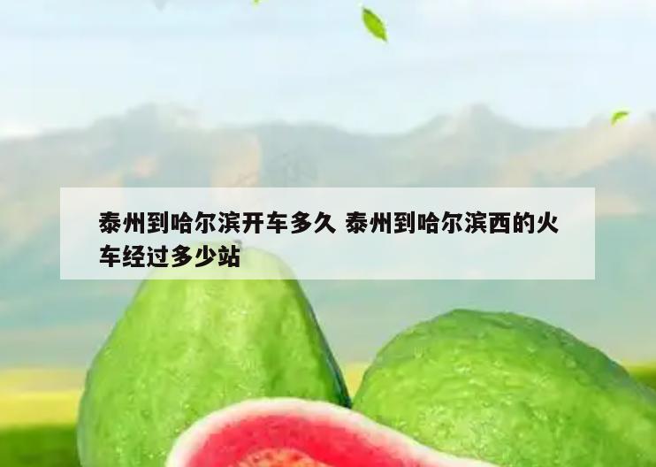 泰州到哈尔滨开车多久 泰州到哈尔滨西的火车经过多少站