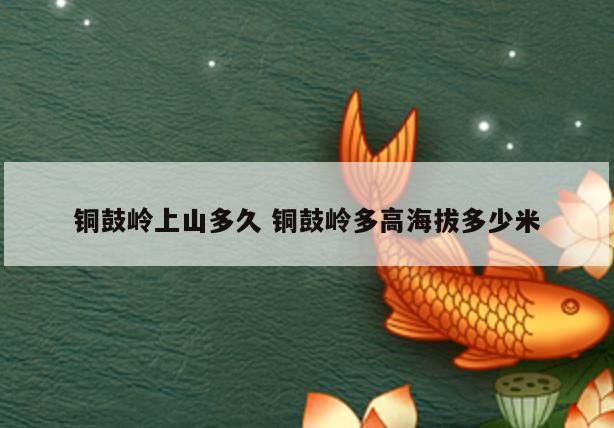 铜鼓岭上山多久 铜鼓岭多高海拔多少米