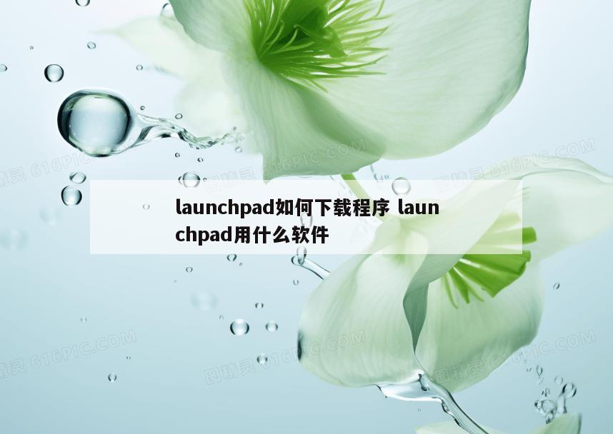 launchpad如何下载程序 launchpad用什么软件
