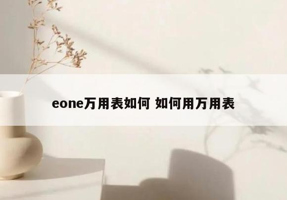 eone万用表如何 如何用万用表