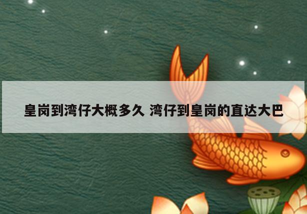 皇岗到湾仔大概多久 湾仔到皇岗的直达大巴