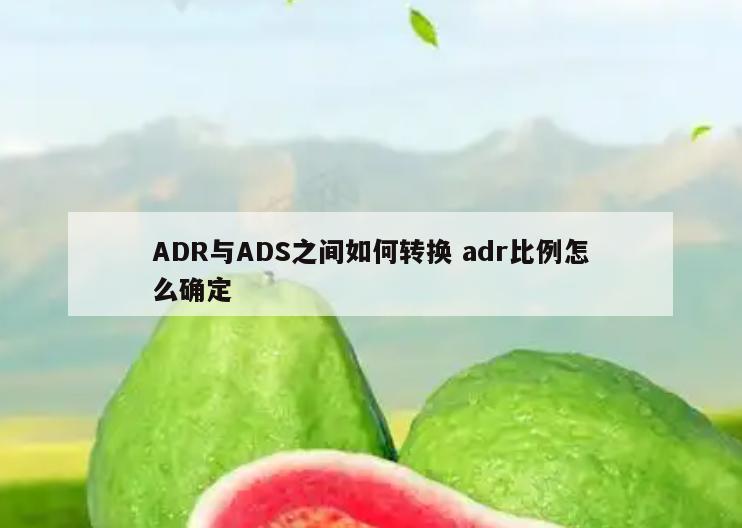 ADR与ADS之间如何转换 adr比例怎么确定