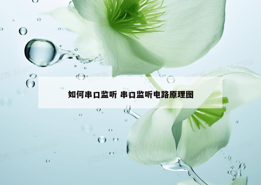 如何串口监听 串口监听电路原理图