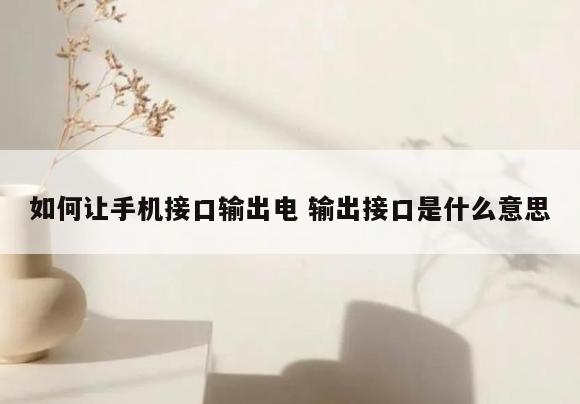 如何让手机接口输出电 输出接口是什么意思