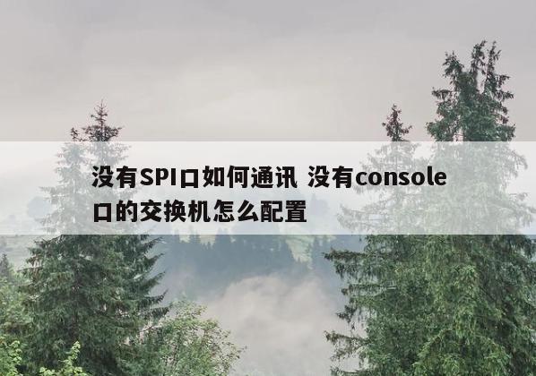 没有SPI口如何通讯 没有console口的交换机怎么配置