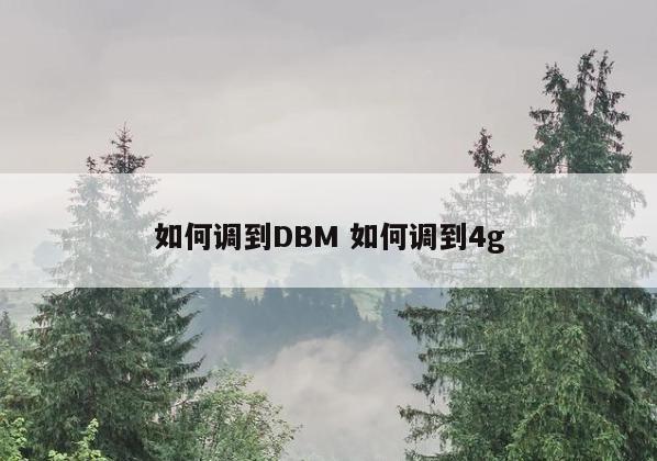 如何调到DBM 如何调到4g