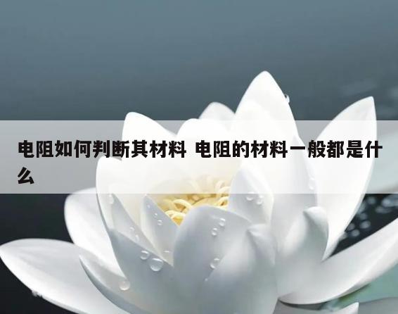 电阻如何判断其材料 电阻的材料一般都是什么