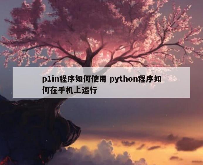 p1in程序如何使用 python程序如何在手机上运行