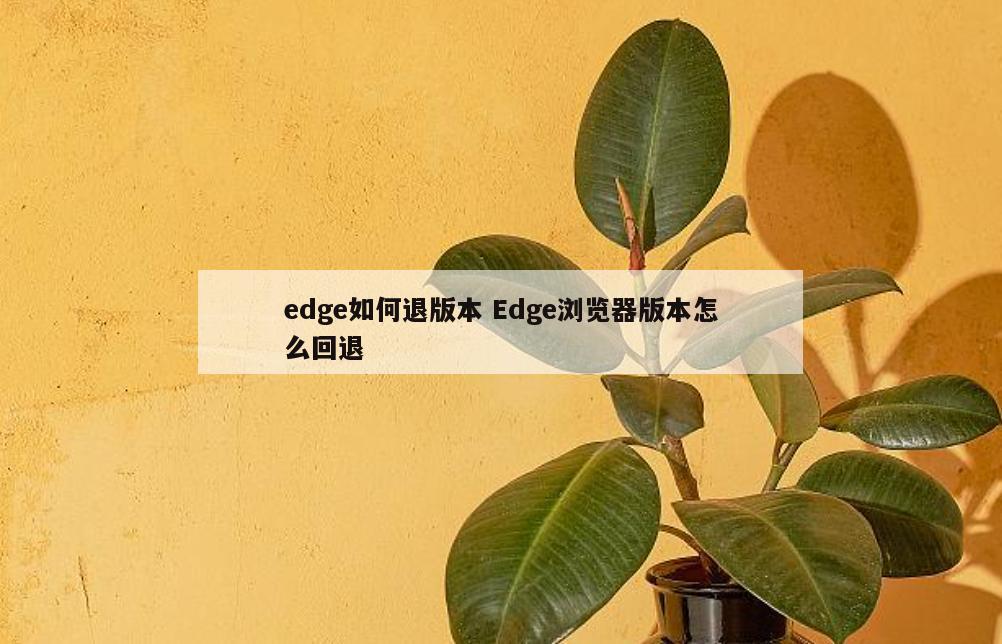 edge如何退版本 Edge浏览器版本怎么回退