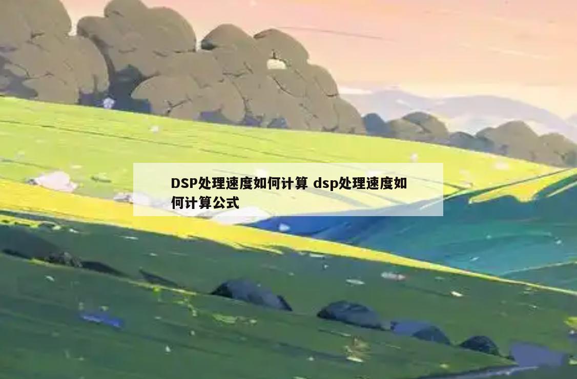 DSP处理速度如何计算 dsp处理速度如何计算公式