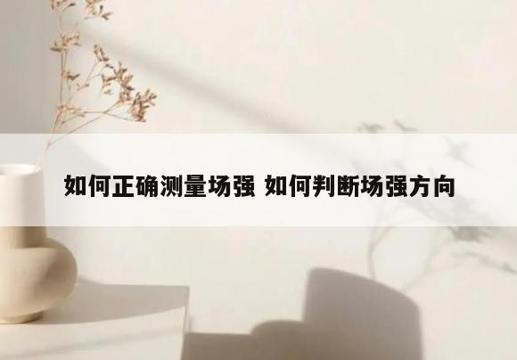 如何正确测量场强 如何判断场强方向