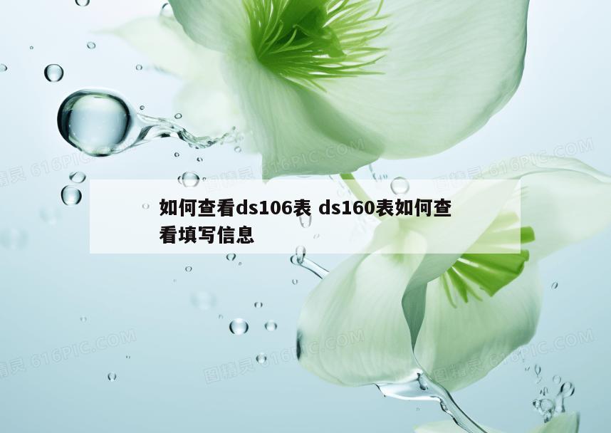 如何查看ds106表 ds160表如何查看填写信息
