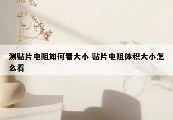 测贴片电阻如何看大小 贴片电阻体积大小怎么看
