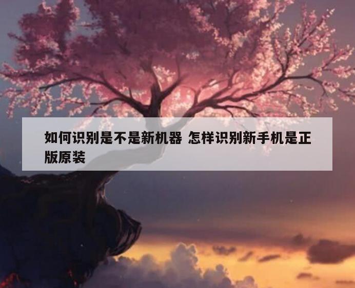 如何识别是不是新机器 怎样识别新手机是正版原装