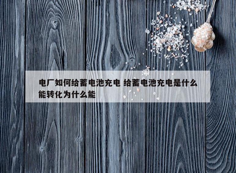 电厂如何给蓄电池充电 给蓄电池充电是什么能转化为什么能