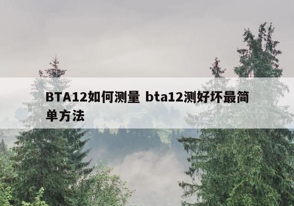 BTA12如何测量 bta12测好坏最简单方法