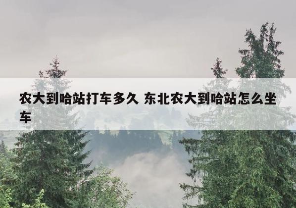 农大到哈站打车多久 东北农大到哈站怎么坐车