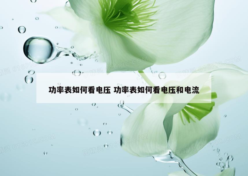 功率表如何看电压 功率表如何看电压和电流