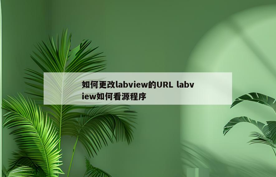 如何更改labview的URL labview如何看源程序