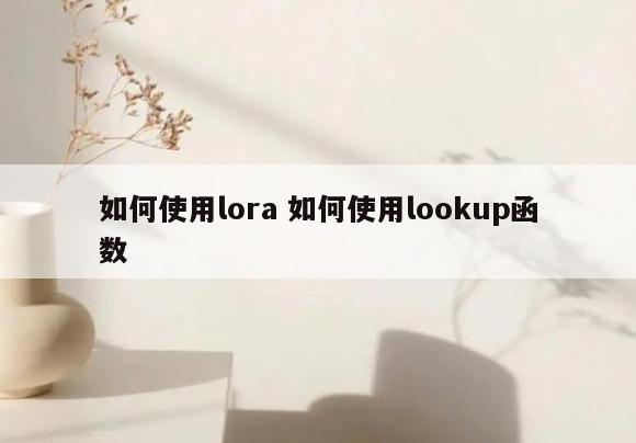 如何使用lora 如何使用lookup函数