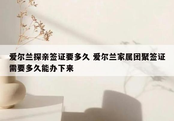 爱尔兰探亲签证要多久 爱尔兰家属团聚签证需要多久能办下来
